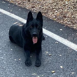 Meet your Posher, Phil